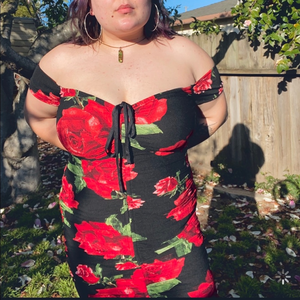 La Rosita Mini Dress
